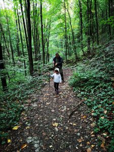 Cascada Șușara – traseu revigorant prin pădure
