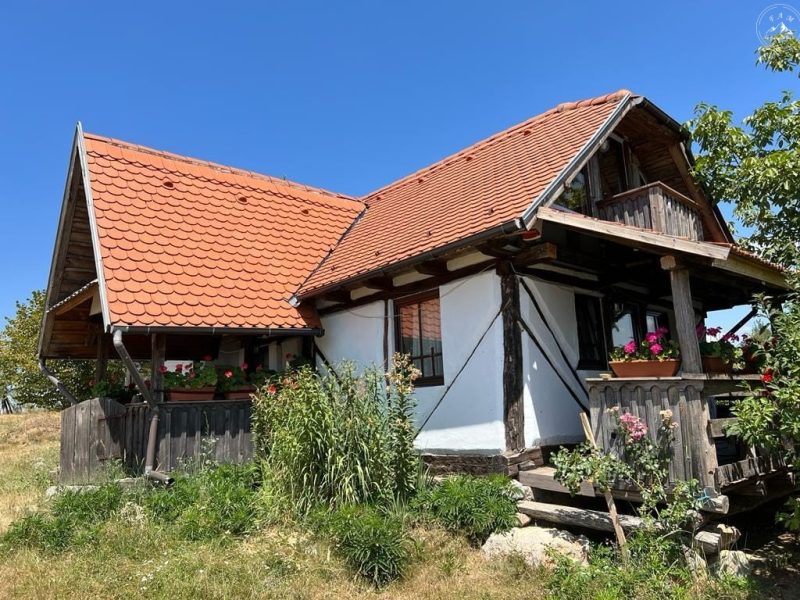 destinatie-ecoturistica-Padurea-Craiului_lapasturistic-1-2