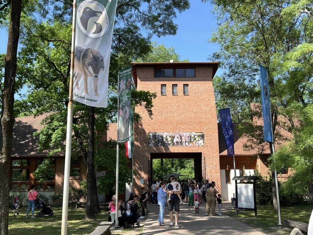 Grădina Zoologică Szeged, Ungaria – cea mai “tânără” și cea mai mare ca suprafață din țară